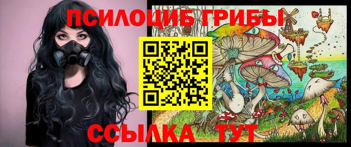 Галлюциногенные грибы Cubensis  Вход с VPN  Галлюциногенные грибы Cubensis  магазин продажи   Калуга 