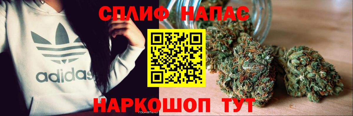 Каннабис гибрид Калуга